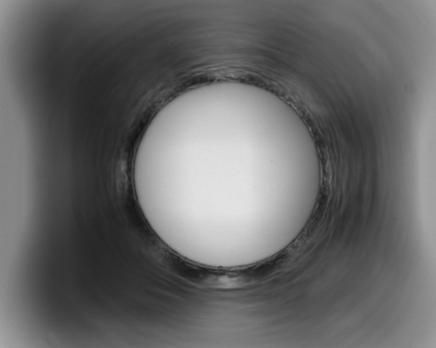 X0000100230506200805300727