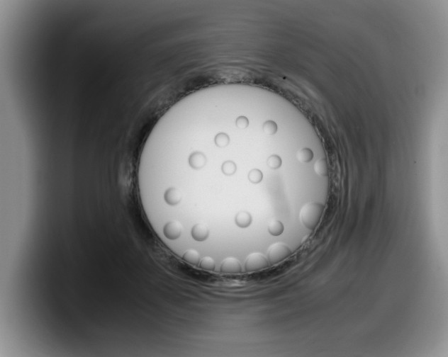 X0000100230507200805300727