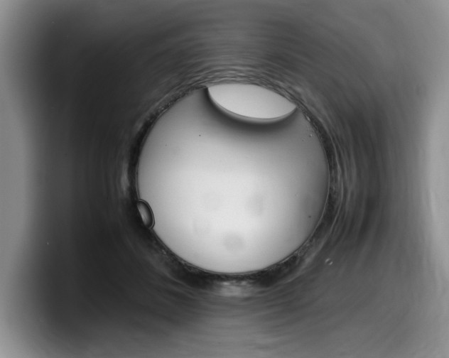 X0000100230508200805300727