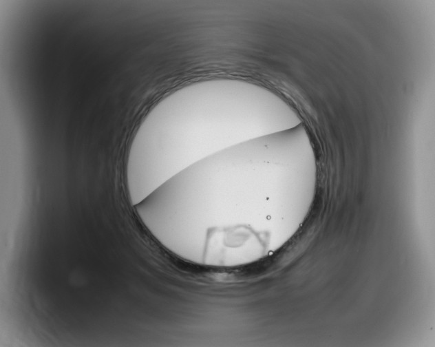 X0000100230509200805300727