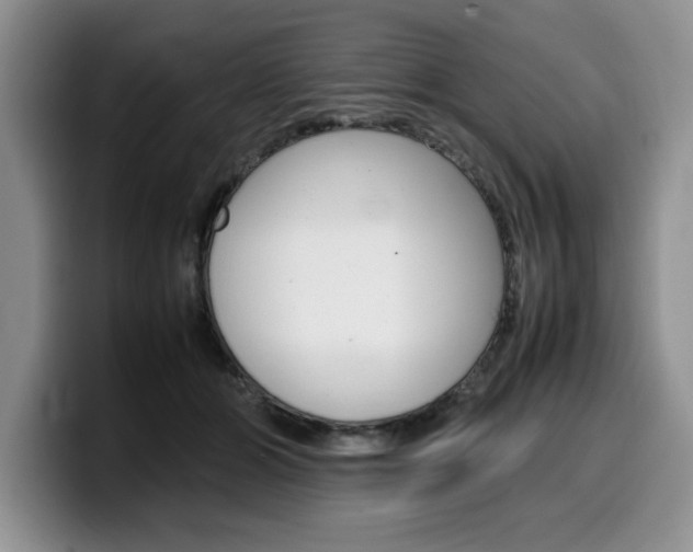X0000100230510200805300727