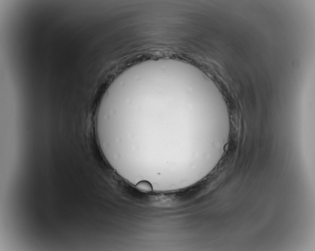 X0000100230511200805300727