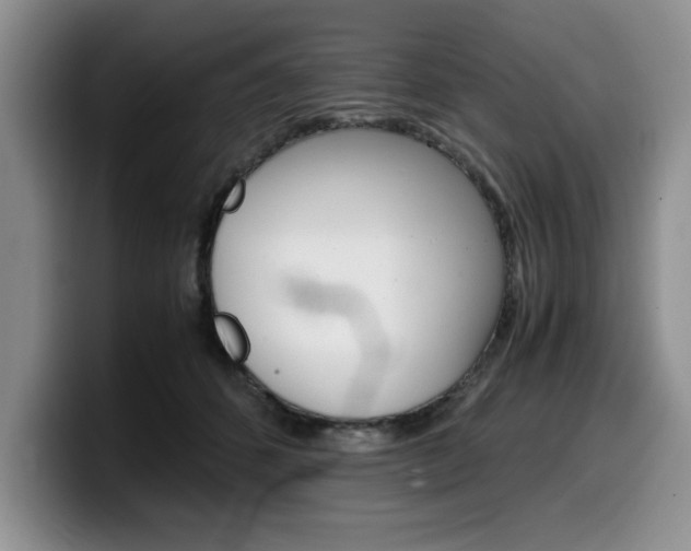 X0000100230512200805300727