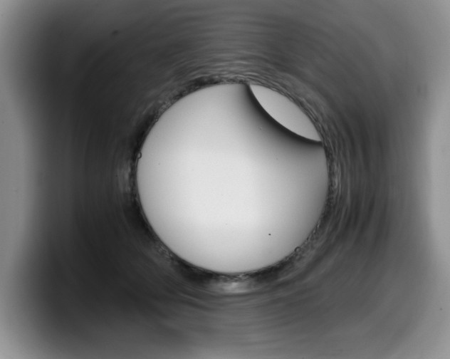 X0000100230514200805300727