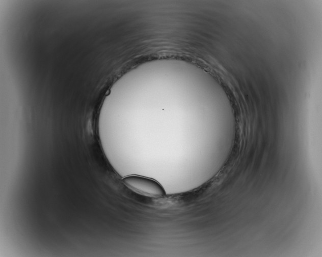 X0000100230516200805300727