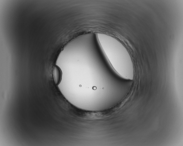 X0000100230517200805300727