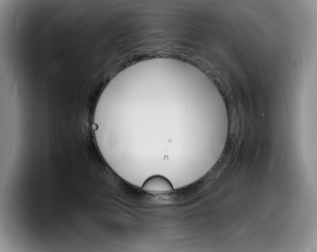 X0000100230518200805300727