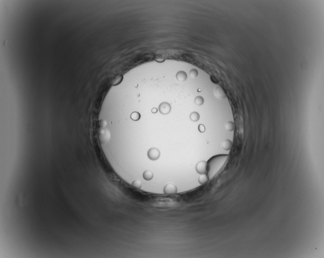 X0000100230519200805300727