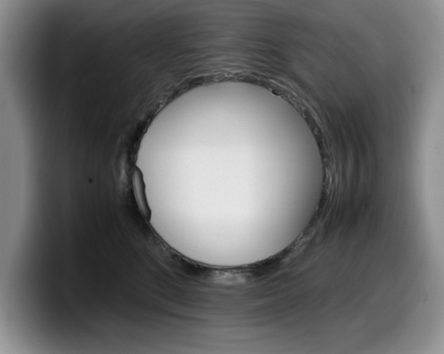 X0000100230520200805300727