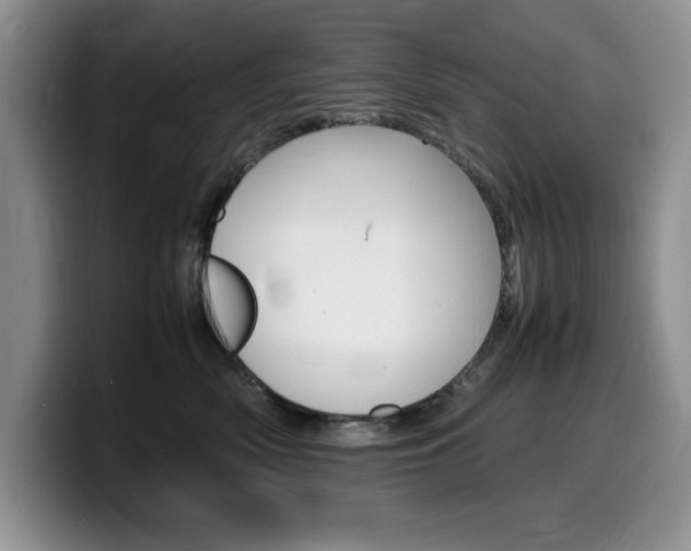 X0000100230522200805300727