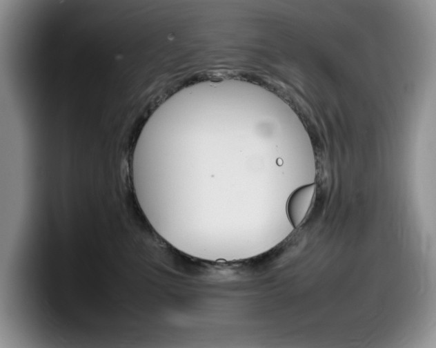 X0000100230523200805300727