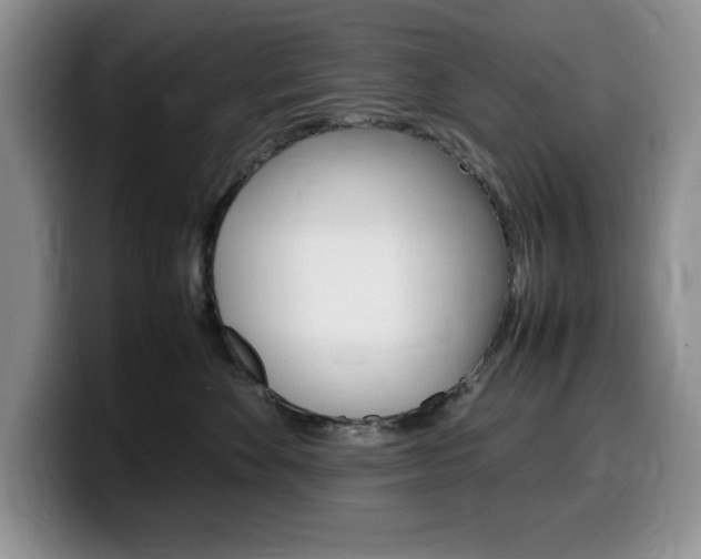 X0000100230524200805300727