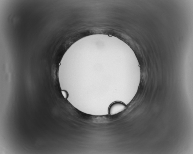 X0000100230525200805300727