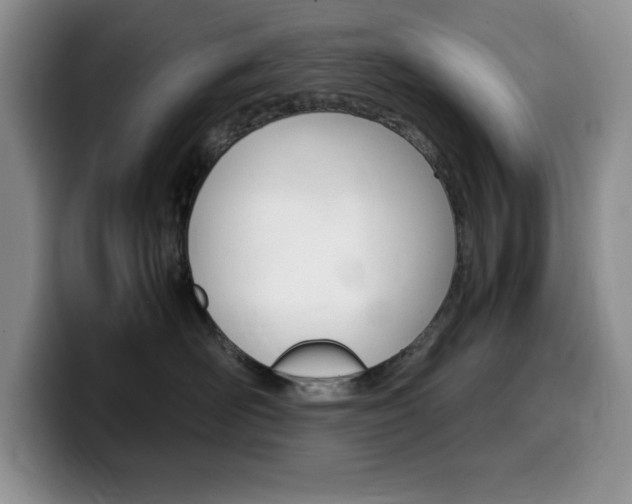 X0000100230526200805300727