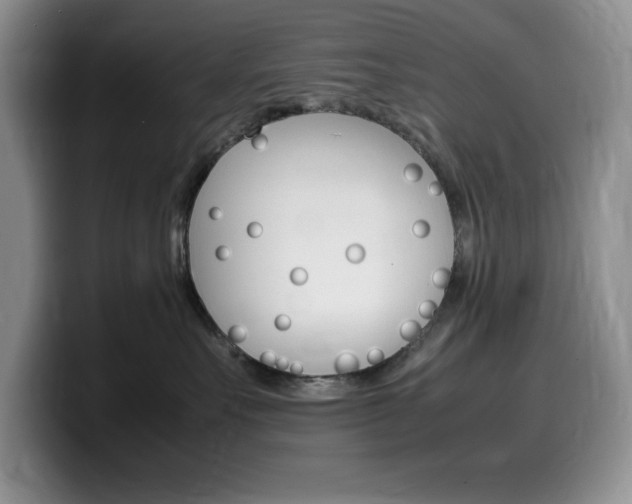 X0000100230527200805300727
