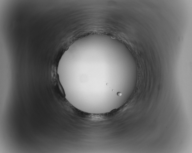 X0000100230528200805300727