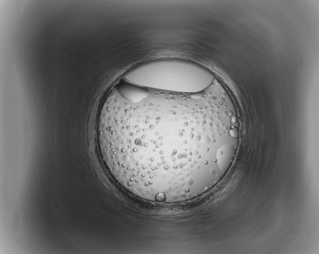 X0000100230529200805300726