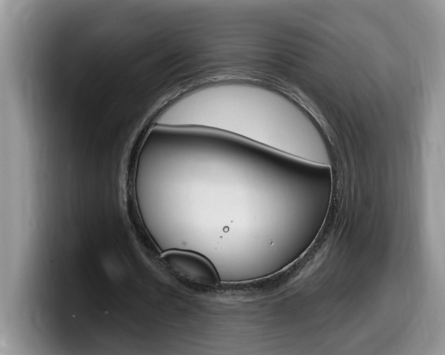 X0000100230530200805300726