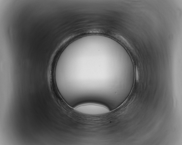 X0000100230531200805300726