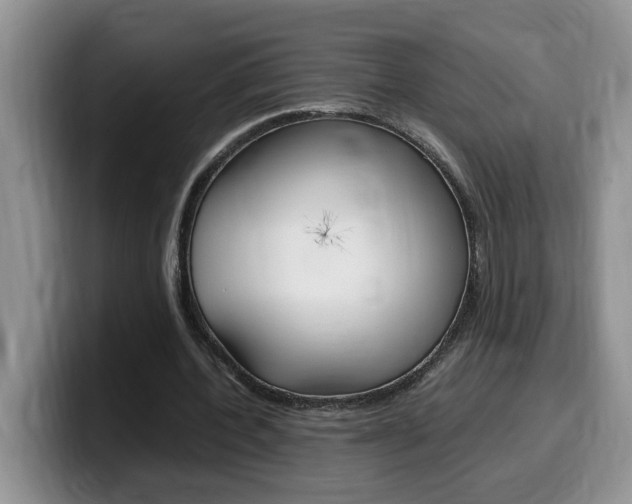 X0000100230532200805300726