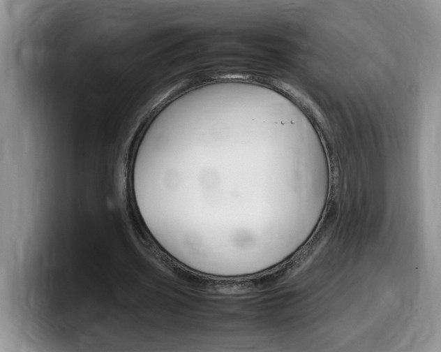 X0000100230533200805300726