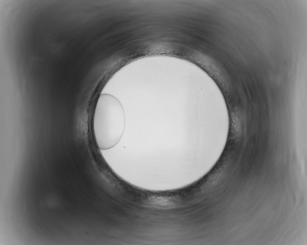 X0000100230534200805300727
