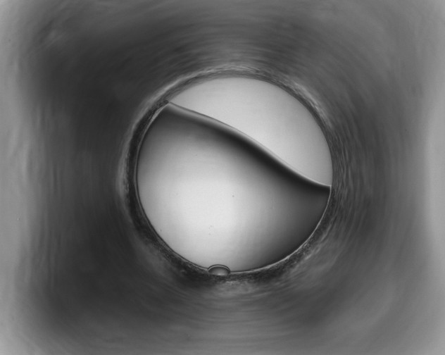 X0000100230536200805300727