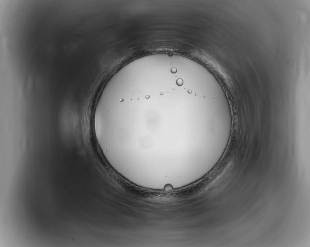 X0000100230537200805300727