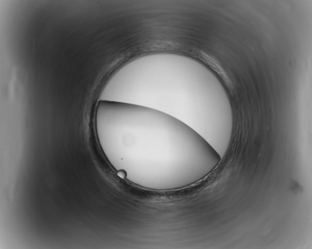 X0000100230538200805300727