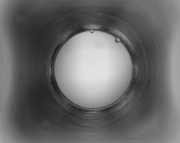 X0000100230541200805300727