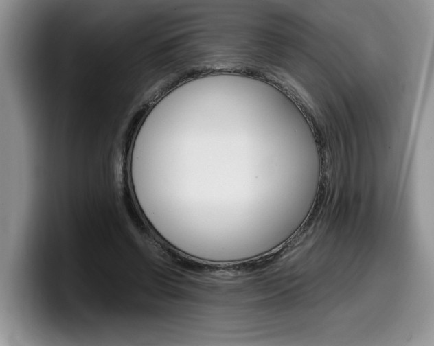 X0000100230542200805300727