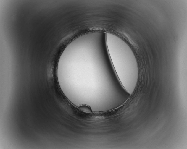 X0000100230543200805300727