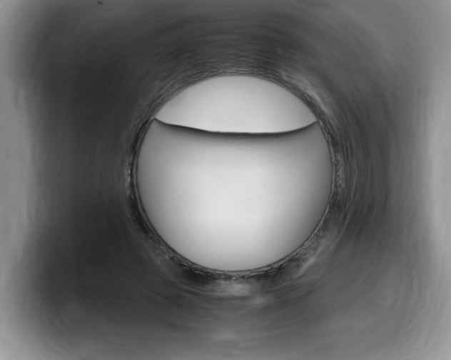 X0000100230545200805300727