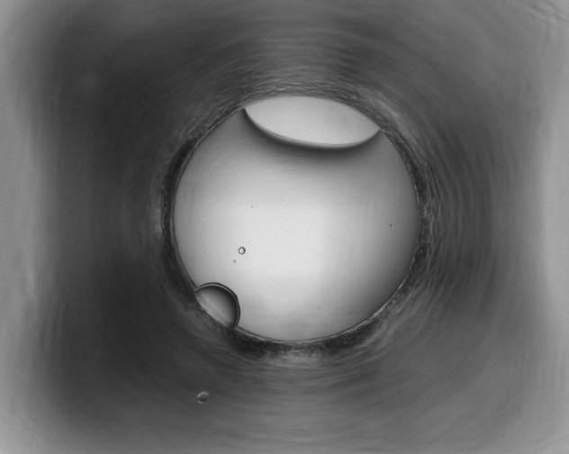 X0000100230546200805300727