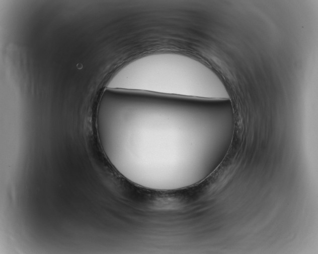 X0000100230547200805300727