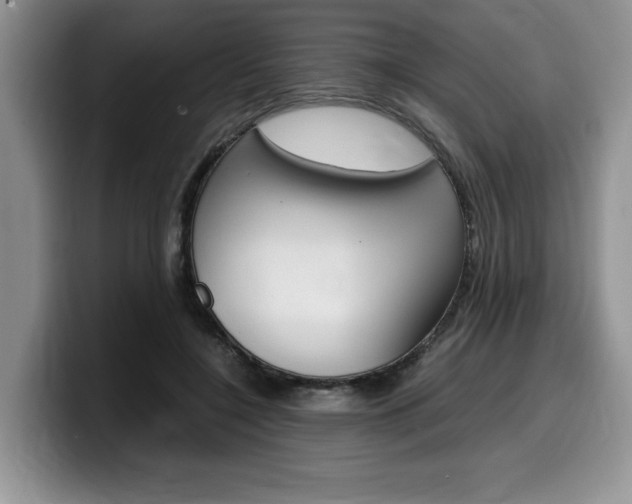 X0000100230548200805300727