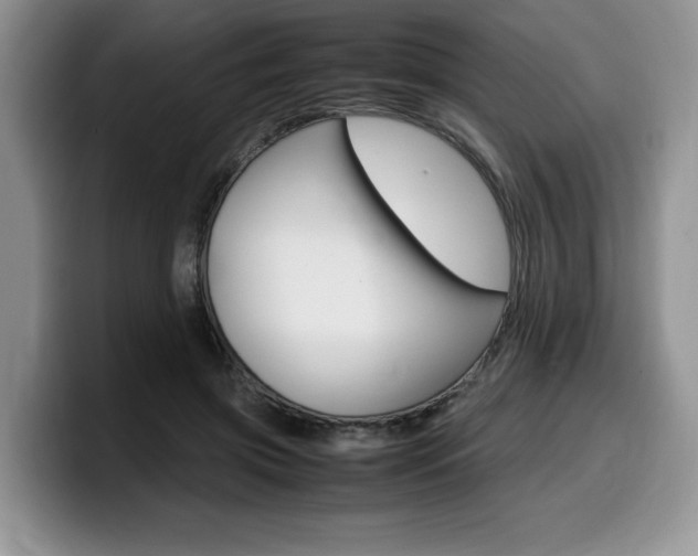 X0000100230549200805300727