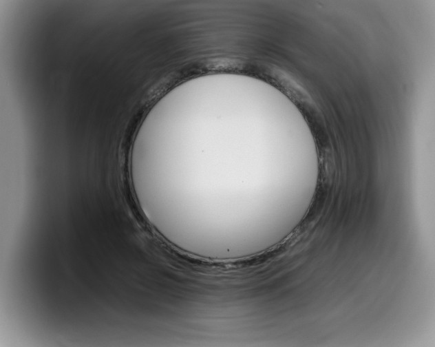 X0000100230550200805300727