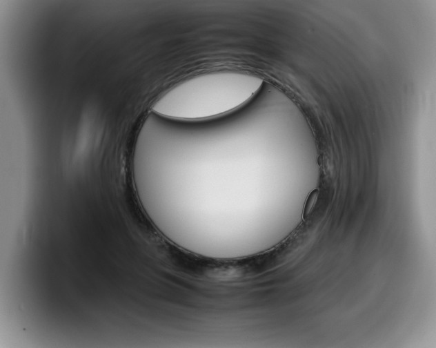 X0000100230551200805300727