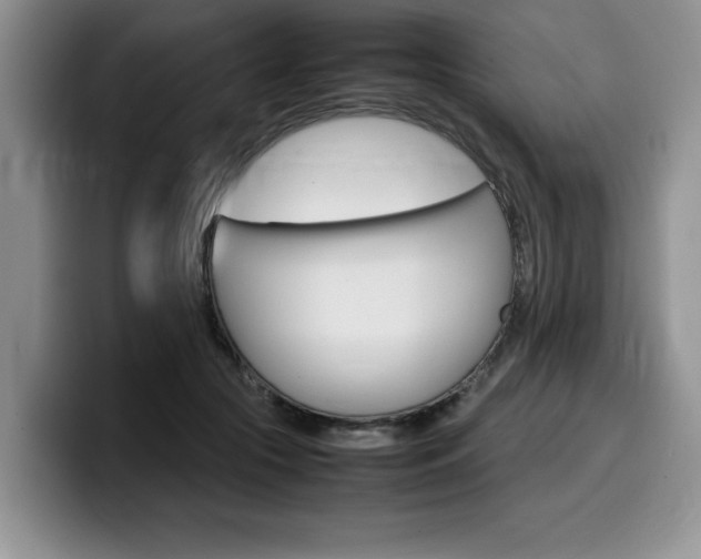 X0000100230553200805300727
