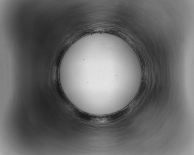 X0000100230554200805300727
