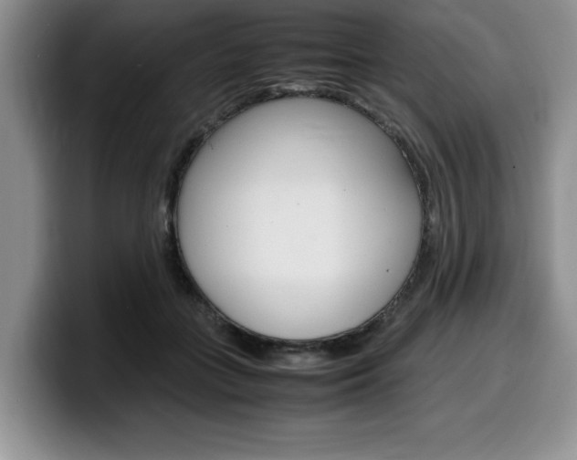 X0000100230555200805300727