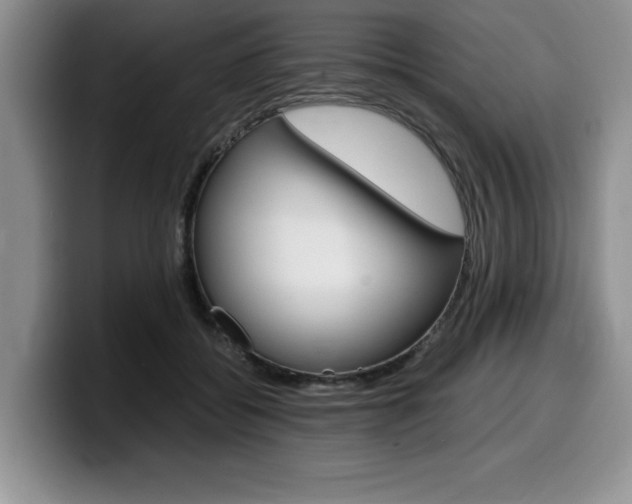X0000100230556200805300727