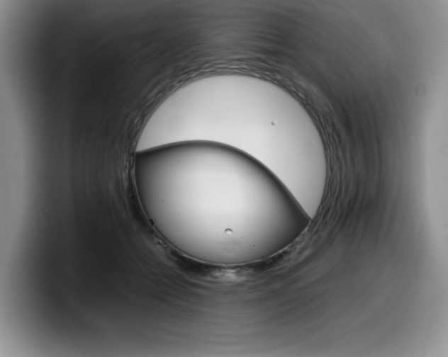 X0000100230558200805300727