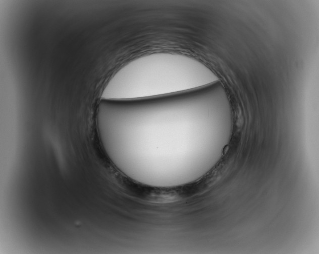 X0000100230559200805300727