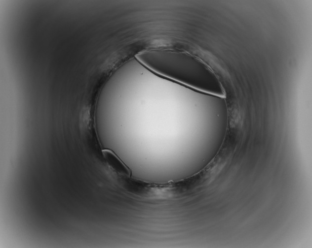 X0000100230560200805300727
