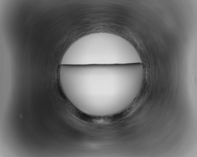 X0000100230561200805300727