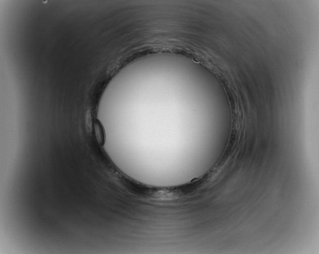 X0000100230562200805300727