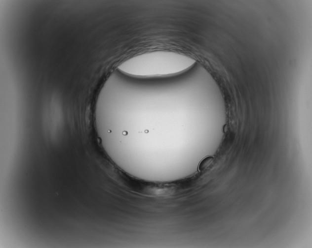X0000100230563200805300727