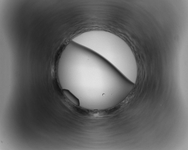 X0000100230564200805300727